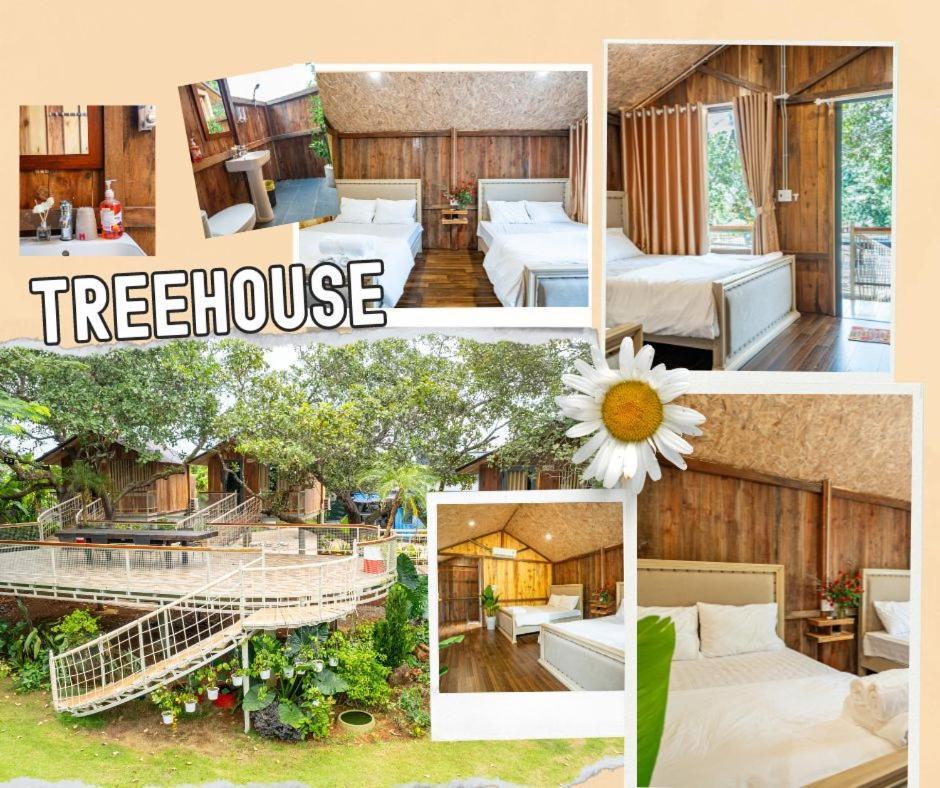 Greenfield Farmstay Vung Tau Bà Rịa Exterior foto