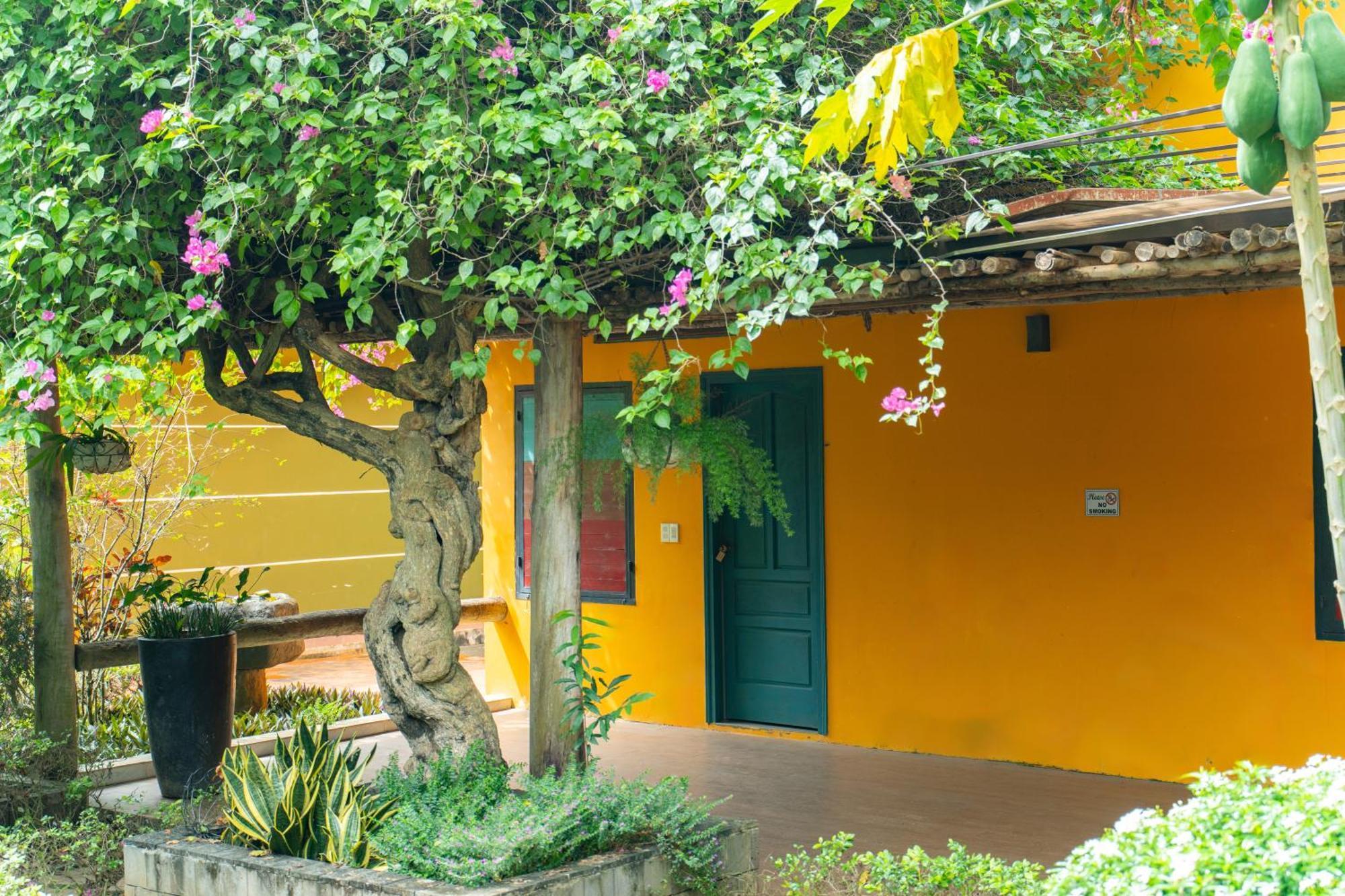 Greenfield Farmstay Vung Tau Bà Rịa Exterior foto